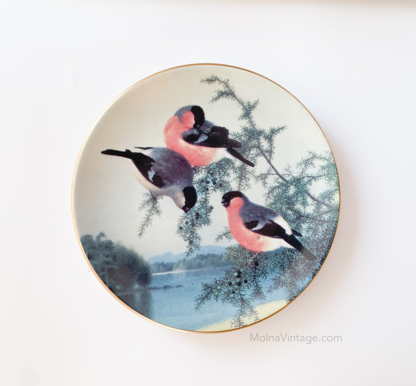 Arabia Bullfinch Juniper plate | Porcelain Bird | Molna Vintage