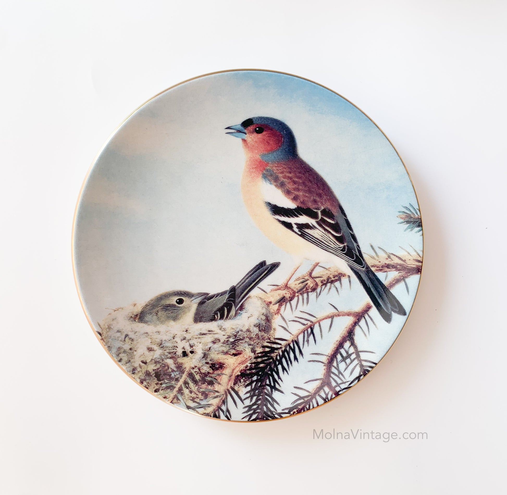 Arabia Chaffinch pair nest | Porcelain plate birds | Molna Vintage