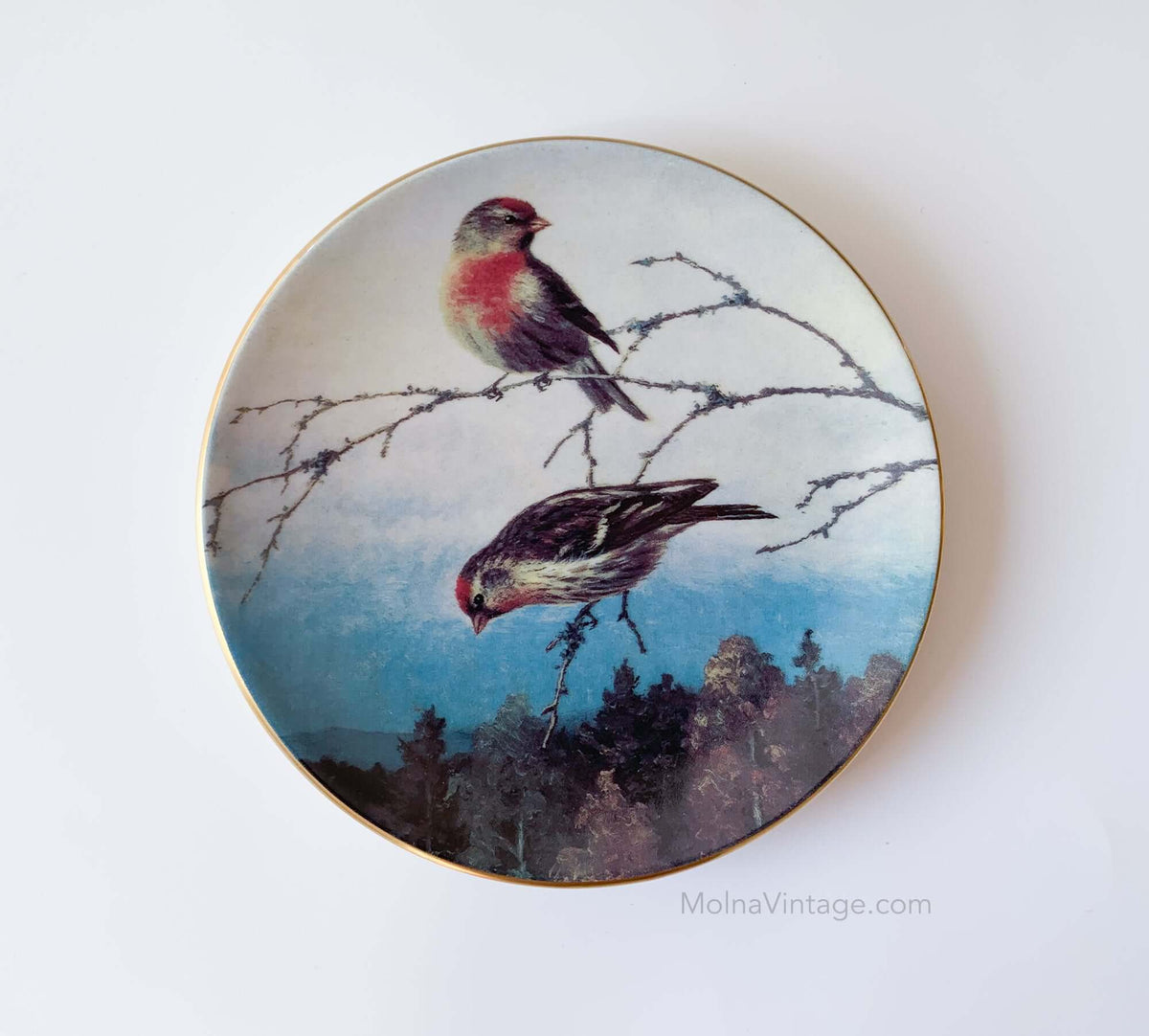 Arabia Redpolls Plate Decoration | von Wright | Molna Vintage
