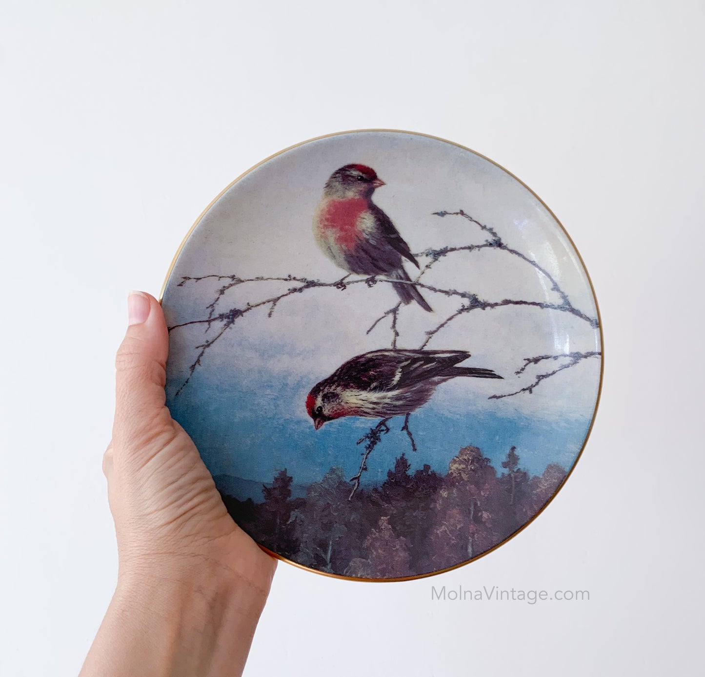 Arabia Redpolls Plate | von Wright | Molna Vintage