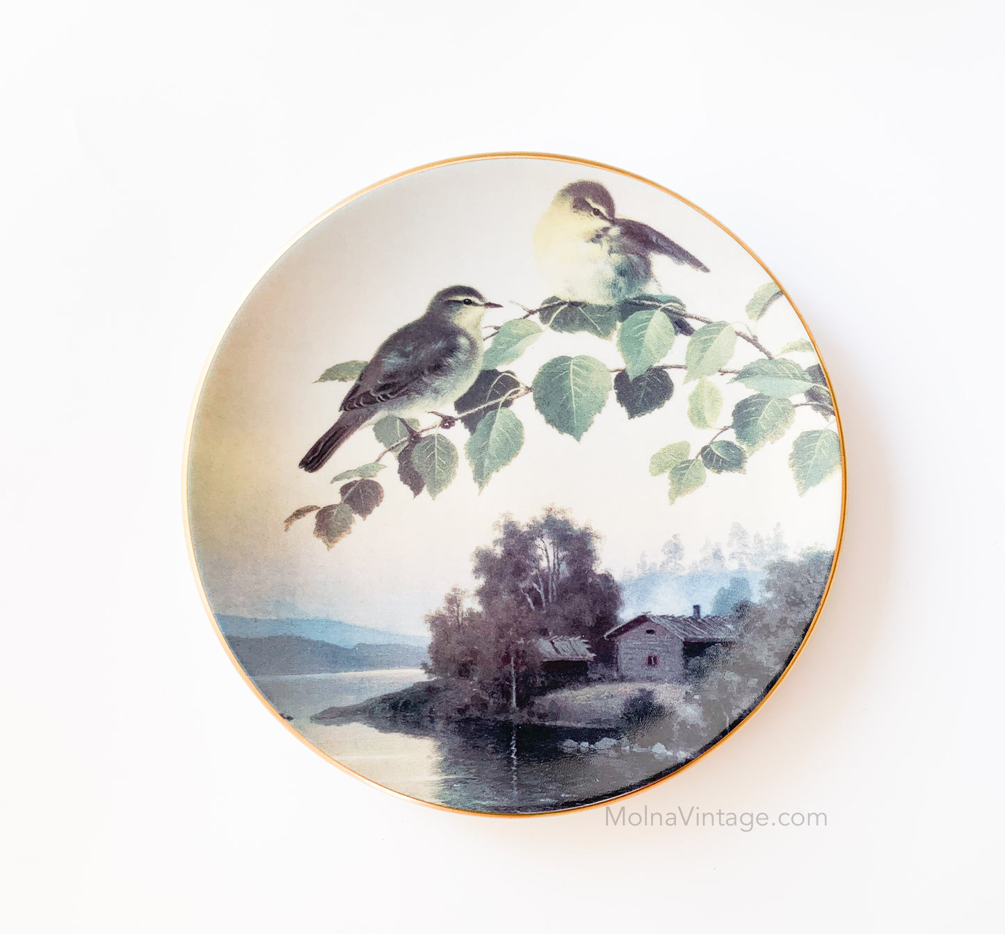 Arabia Willow warblers | Porcelain plate birds | Molna Vintage