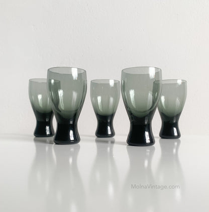 Riihimäen Lasi Pingviini Glasses | Helena Tynell | Set of 5