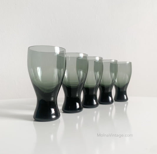 Riihimäen Lasi Pingviini Glasses | Helena Tynell | Set of 5