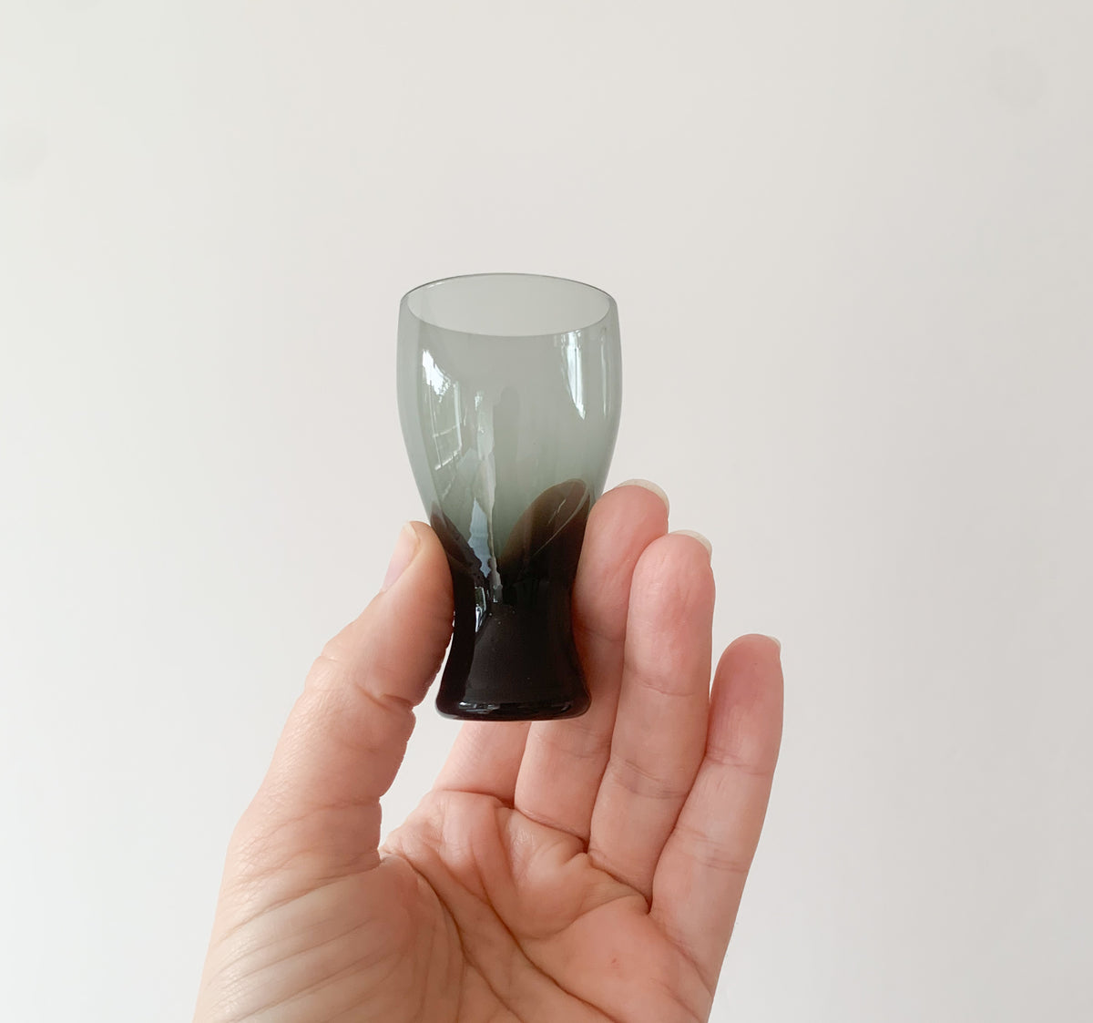 Riihimäen Lasi Pingviini Glasses | Helena Tynell | Set of 5