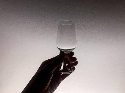 Duo of Holmegaard Princess sherry glasses, Denmark 1980s