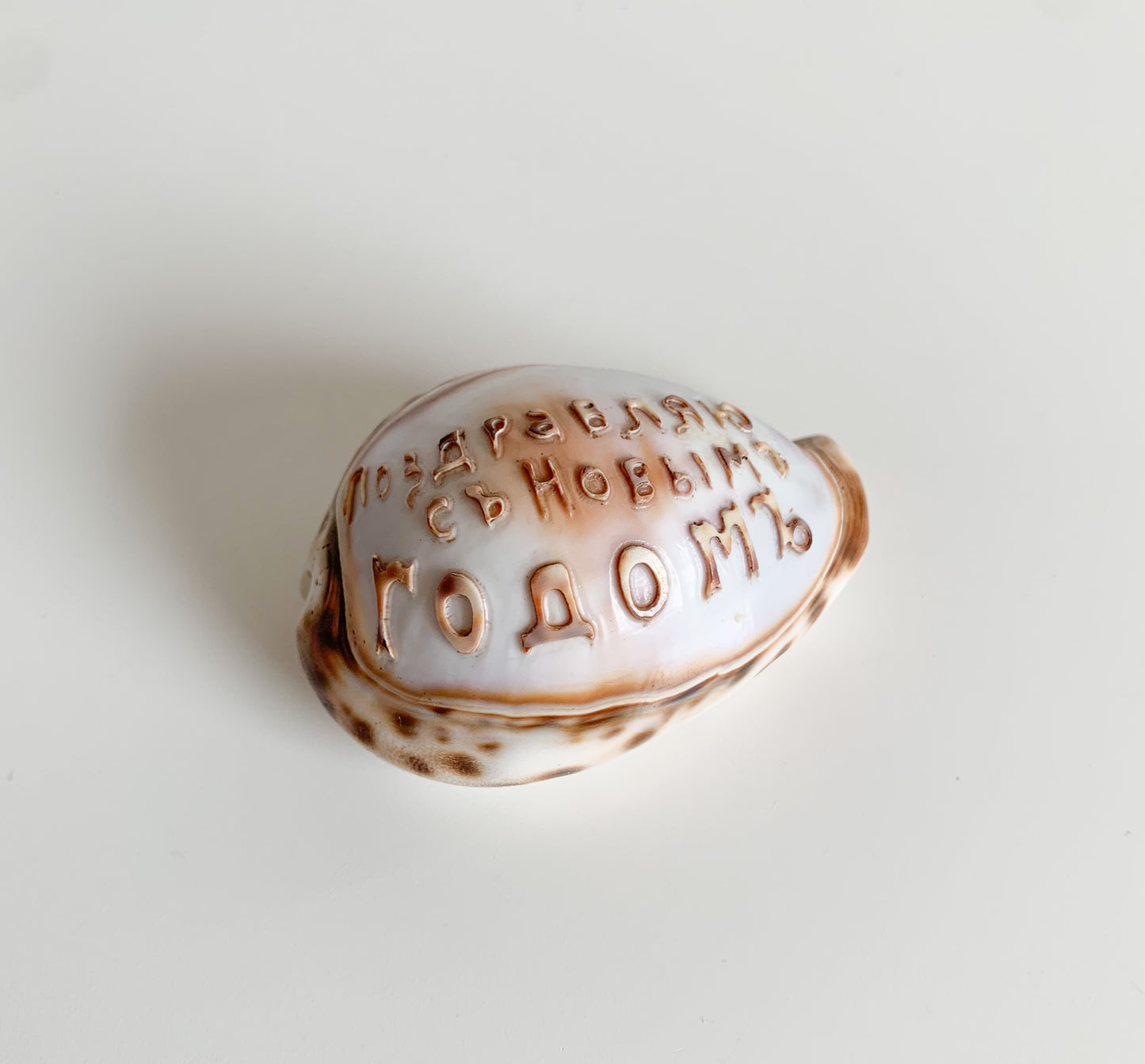 Antique Cowrie Shell | Russian New Year Inscription, circa 1900s
