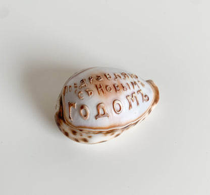 Antique Cowrie Shell | Russian New Year Inscription, circa 1900s