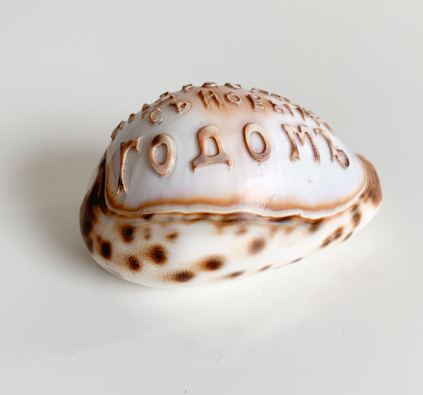 Antique Cowrie Shell | Russian New Year Inscription, circa 1900s