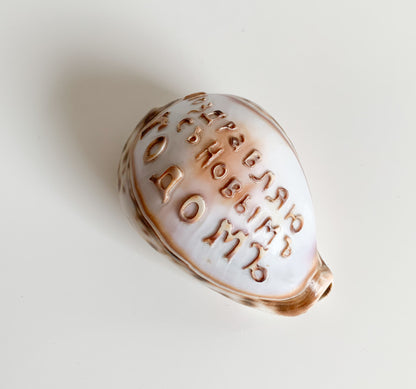 Antique Cowrie Shell | Russian New Year Inscription, circa 1900s