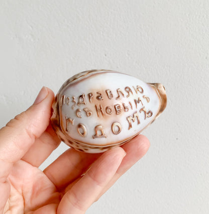 Antique Cowrie Shell | Russian New Year Inscription, circa 1900s