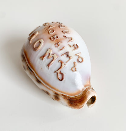 Antique Cowrie Shell | Russian New Year Inscription, circa 1900s