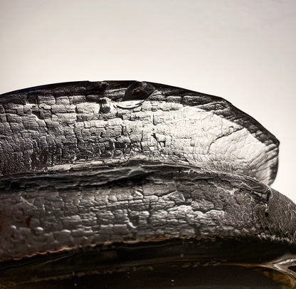 Timo Sarpaneva for Iittala | Finlandia art object & glass bowl 3355