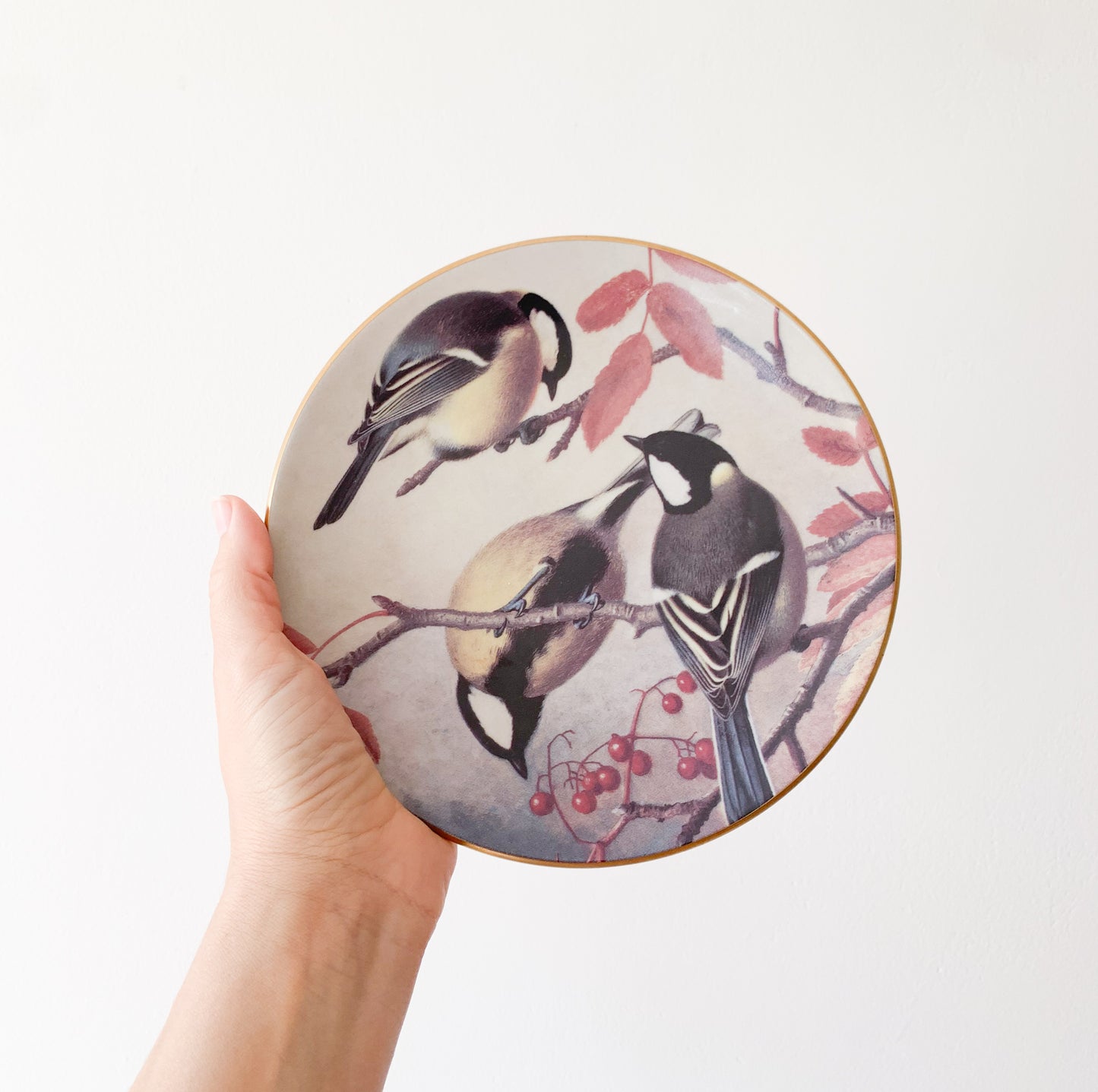 Arabia Birds in rowan wall plate | von Wright
