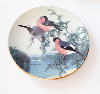 Arabia Bullfinces in Juniper plate | von Wright