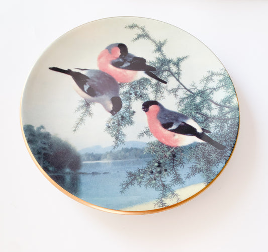 Arabia Bullfinces in Juniper plate | von Wright
