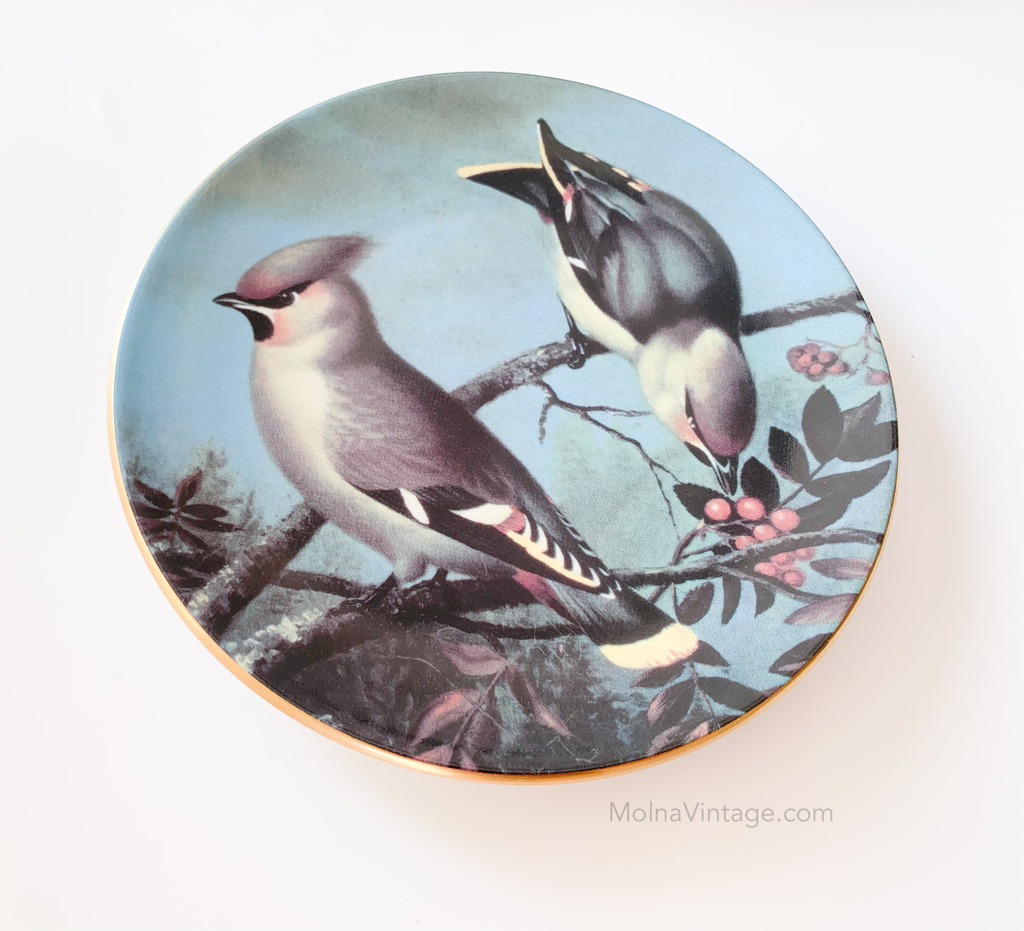 Arabia Waxwings in Rowan tree plate | von Wright