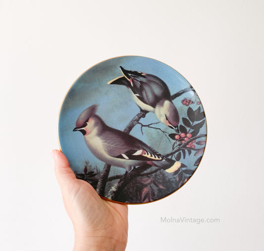 Arabia Waxwings in Rowan tree plate | von Wright