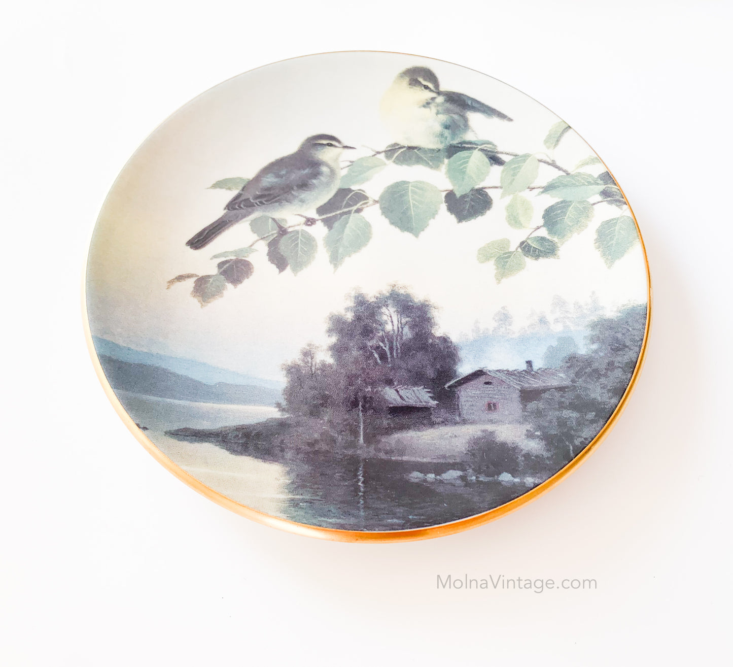 Arabia Willow warblers plate | von Wright