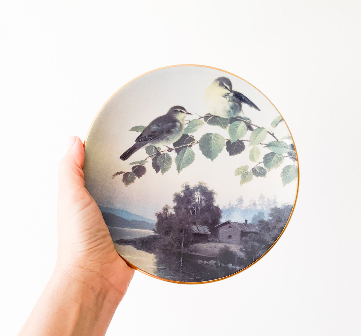 Arabia Willow warblers plate | von Wright