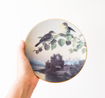 Arabia Willow warblers plate | von Wright
