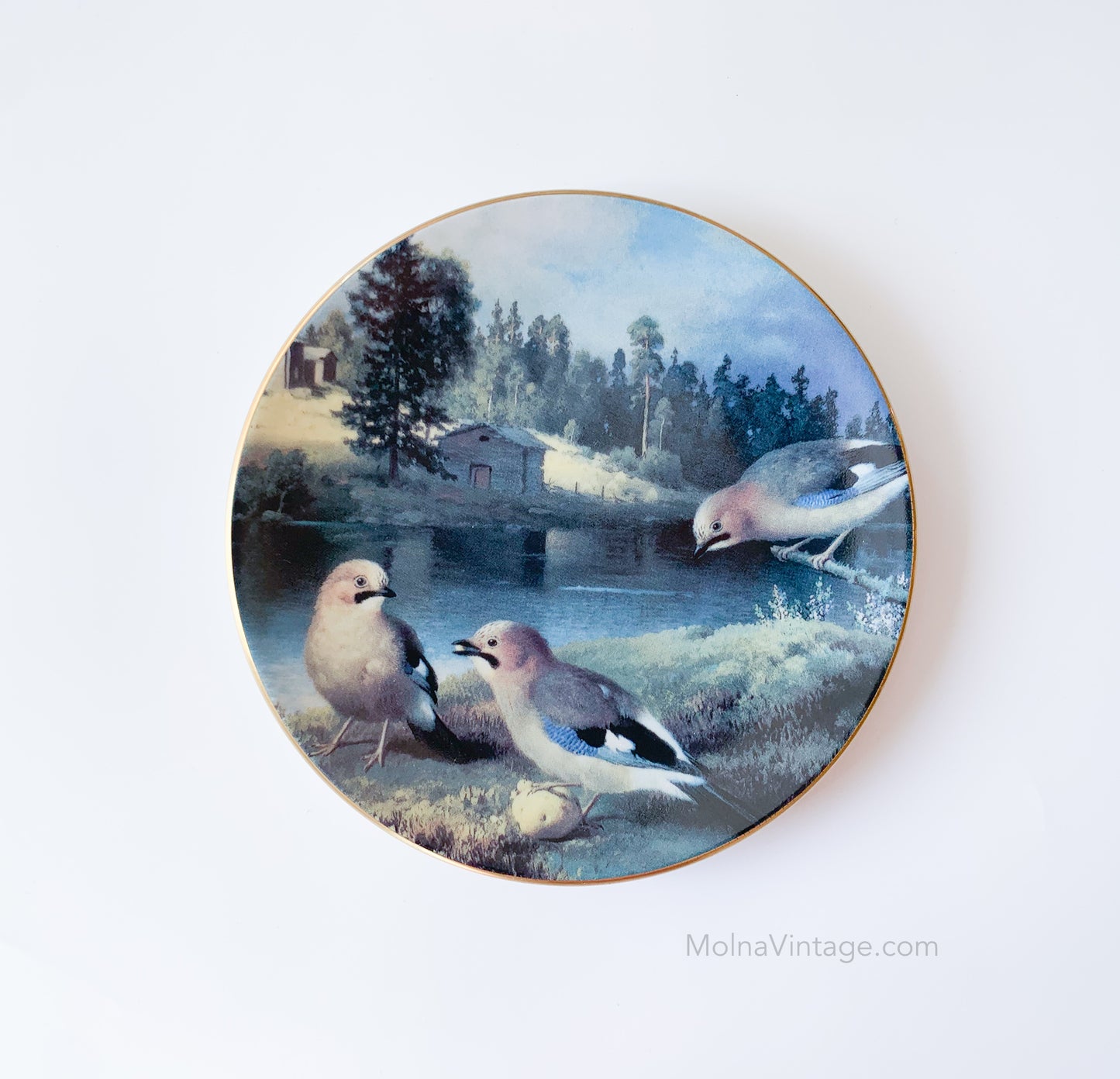 Arabia Jays with potato plate | von Wright