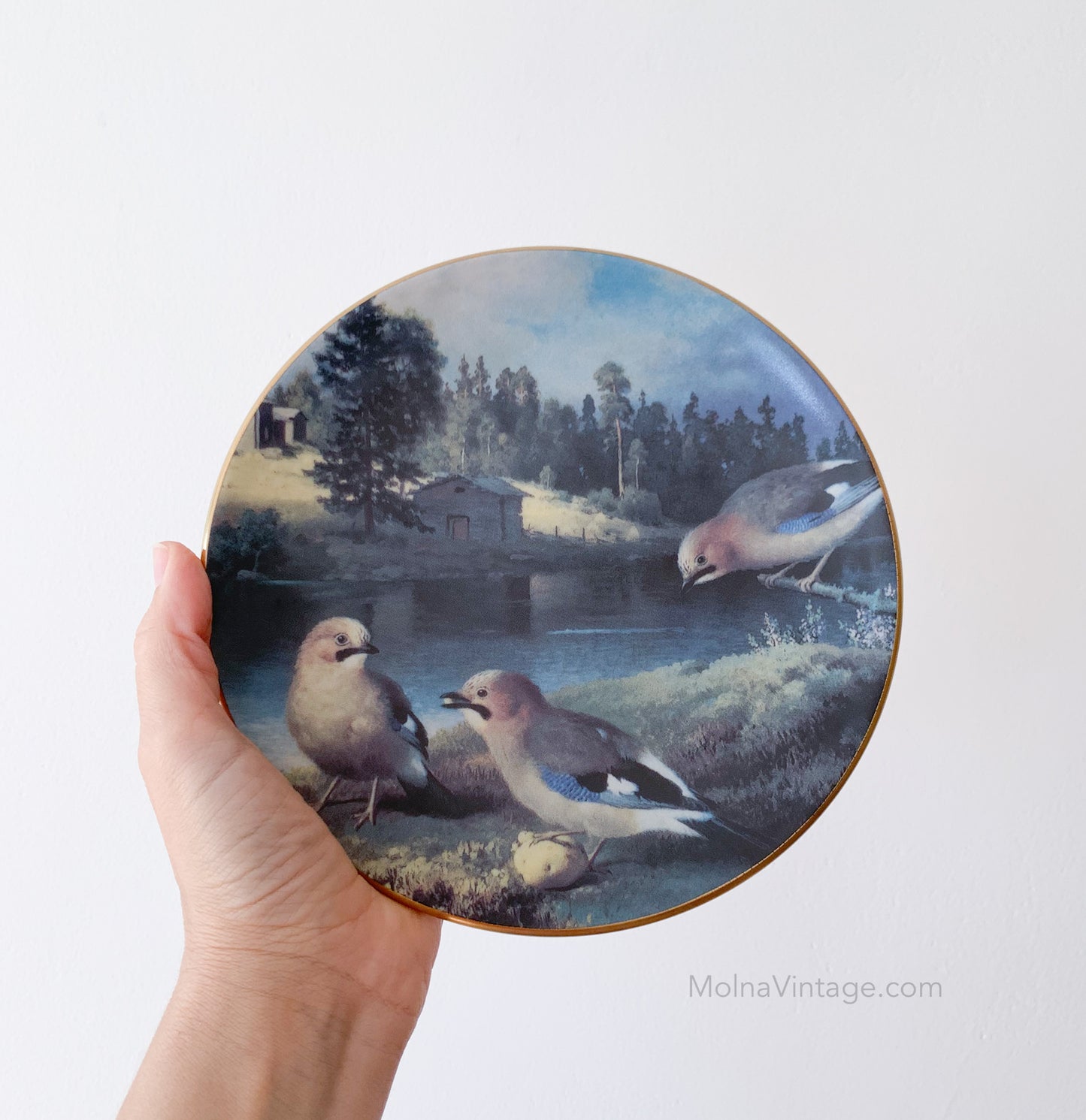 Arabia Jays with potato plate | von Wright