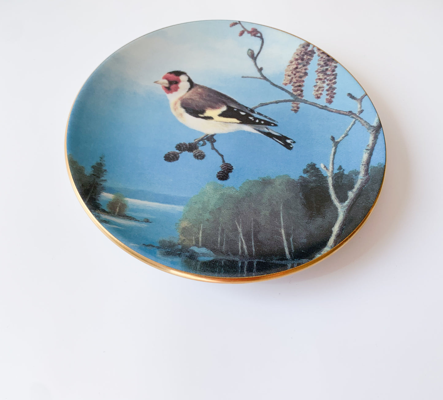 Arabia Goldfinch on branch plate | von Wright