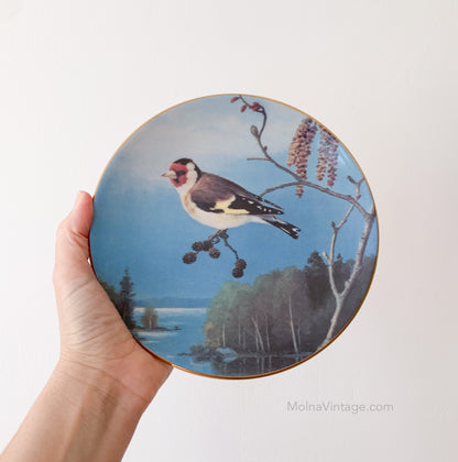 Arabia Goldfinch on branch plate | von Wright