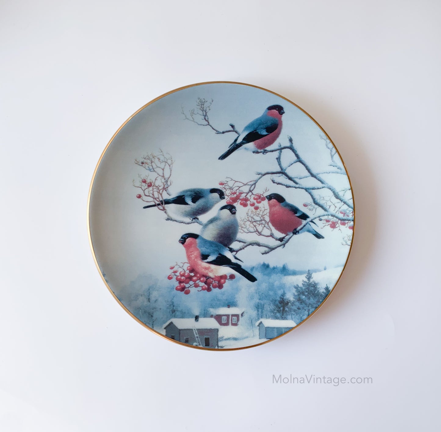 Arabia Redbuds on rowan tree plate | von Wright