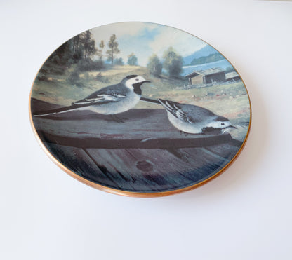 Arabia Wagtails on the roof plate | von Wright