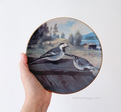 Arabia Wagtails on the roof plate | von Wright