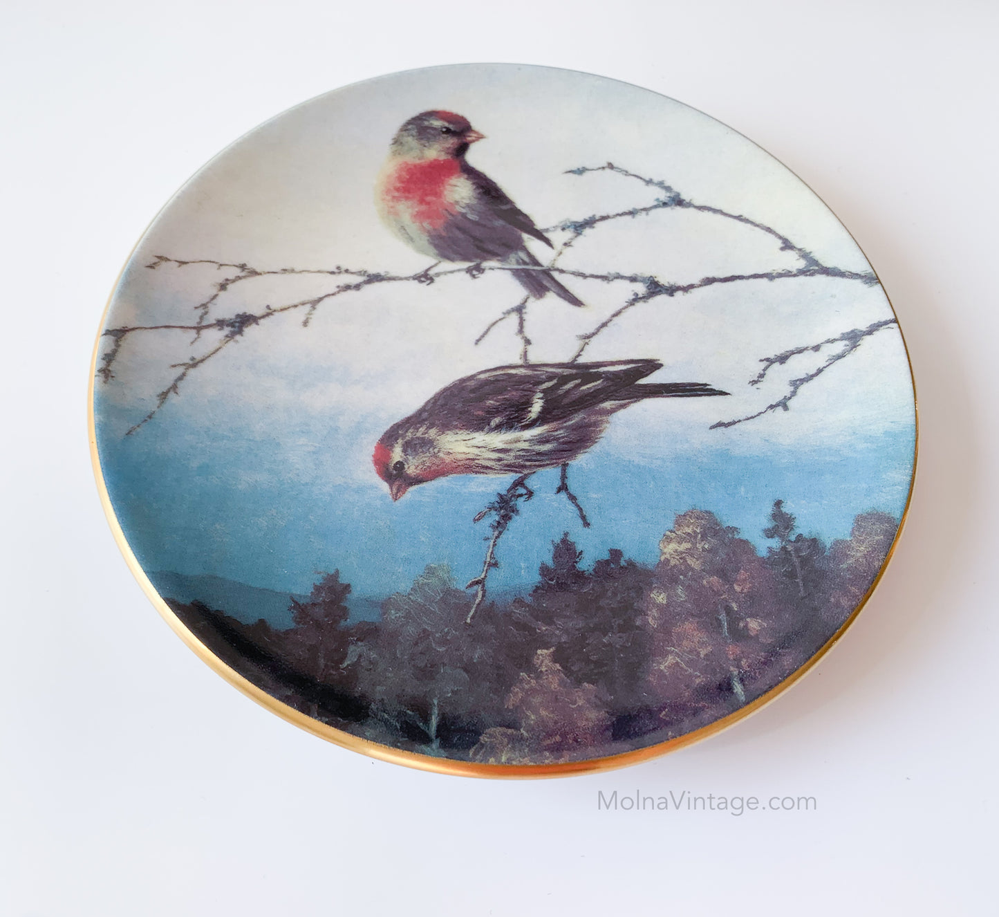 Arabia Redpolls plate | von Wright