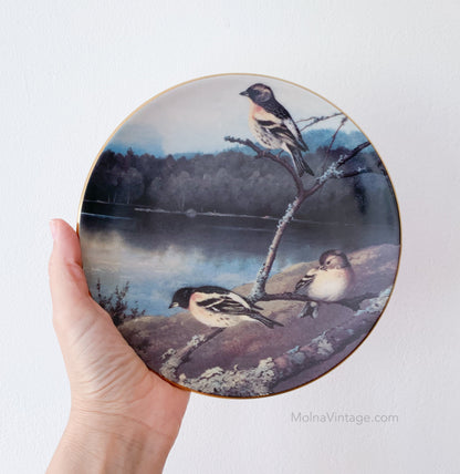Arabia Finches plate | von Wright