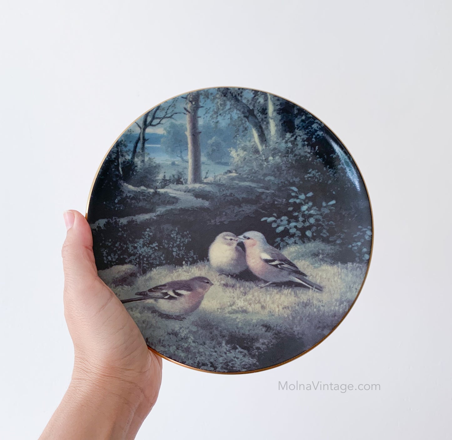 Arabia Finches landscape plate | von Wright